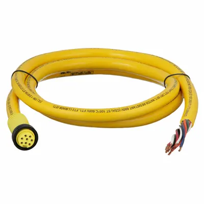 BRAD HARRISON Cordset: 1"-16 Female Straight x Bare Wire, 8 Pins, Yellow, PVC, 6 ft Cable Lg - Single-Ended Cordsets