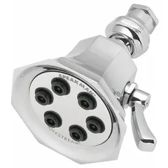 Brass fixed showerhead with multi-pattern combo spray. Flow rate is 2.5 gpm. Suitable for use in commercial or industrial wash-down areas, locker rooms, and maintenance zones.