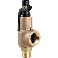 Bronze pressure relief valve with 2 in MNPT inlet and 2 1/2 in FNPT outlet. Certified to ASME Section VIII & XIII for overpressure protection of air, inert gas, and liquid systems. Maximum operating pressure 264 psi. Suitable for industrial pressure vessels and piping systems.