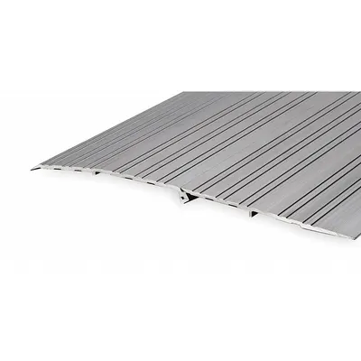 NATIONAL GUARD Door Ramp: 6 in Lg, ADA Compliant, Aluminum - Aluminum Ramps