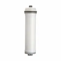 EVERPURE Water Filter Cartridge: 0.025 micron, 21 3/16 in Overall Ht, Hollow Fiber Membrane (MPN EV962891)