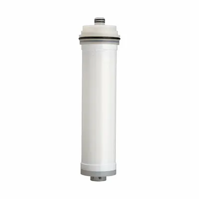 EVERPURE Water Filter Cartridge: 0.025 micron, 21 3/16 in Overall Ht - Drop-In Multi-Purpose Water Filter Cartridges