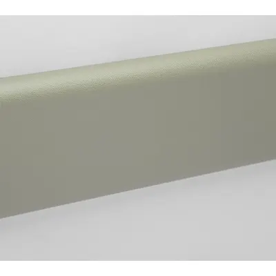PAWLING CORP Wall Guard WG-6C-12-313 PVC Crash Rail, Champagne, 6 in x 12 ft - PVC Crash Rails & Bumper Guards