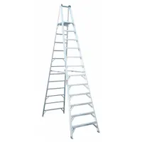 Aluminum platform stepladder with 12 ft ladder size and 300 lb load capacity. Weighs 66 lb and includes guard rail for elevated work. Suitable for industrial maintenance, construction, and facility tasks requiring a stable standing platform