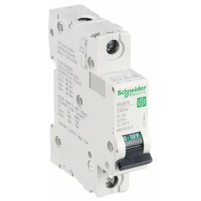 SCHNEIDER Supplementary Protector: 1 A Amps, 60V DC, 14kA at 120/240V AC, Screw Clamp - D-Curve, 1-Pole UL1077 DIN Rail-Mount Supplementary Protectors