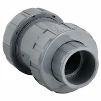 HAYWARD Check Valve: Ball, Inline Valve Body, PVC, 2 in Pipe Size, True Union Socket/NPT, Std, EPDM (MPN TC10200STE)