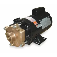Straight centrifugal pump for water circulation, transfer, and boosting in industrial and commercial systems. Features 1/3 hp motor, ODP enclosure, 115/230V AC, 44 ft max head, 1 in intake and 3/4 in discharge connections.