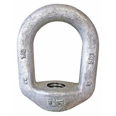 CROSBY Eye Nut: 1/2"-13 Thread, Steel, Hot-Dipped Galvanized, Oval, 1 1/4 in Inside Dia - Steel Eye Nuts