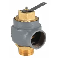 ASME Section IV steam pressure relief valve with 2 in MNPT x 2 in FNPT connections. Cast iron body rated for 29 psi maximum operating pressure. Used in low-pressure steam systems, heating plants, and industrial process lines for overpressure protection