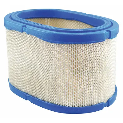 BALDWIN FILTERS PA5658 Engine Air Filter, Oval, Axial Seal, 4 1/16 in Height - Round/Oval Engine Air Filters