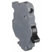 1-pole miniature circuit breaker rated 20 A at 120V AC with a 10kA interrupting capacity. Measures 0.5 in wide. Provides overcurrent and short-circuit protection for branch circuits in load centers