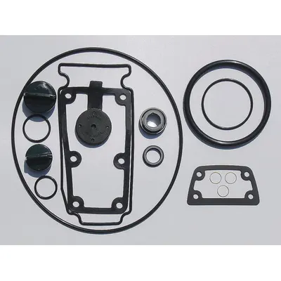 OEM Seal Kit: Mfr Part #, Dayton - Seal Kits for Dewatering & Wastewater Pumps
