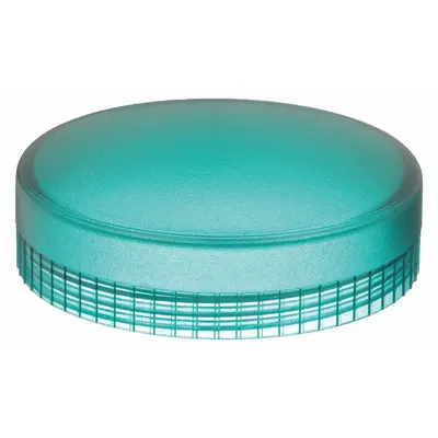 SCHNEIDER Pilot Light Lens: 22 mm Panel Mounting Hole Dia, Green, Smooth - Pilot-Light Lenses