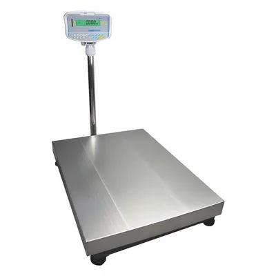 ADAM EQUIPMENT Floor Scale: 165 lb Wt Capacity - Imperial, 1 g/0.02 lb Readability, Floor Scale - Floor Scales
