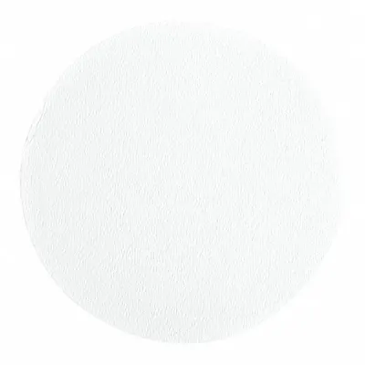 CYTIVA WHATMAN Quantitative Filter Paper: 541 Grade, 9 cm Dia, 0.155 mm Thick - Quantitative Hardened Ashless Filter Paper