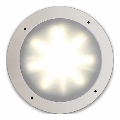 ECCO Anti-Microbial Interior Light: Courtesy Light, LED, Clear, Round, 12-24V DC - Compact Courtesy Lights