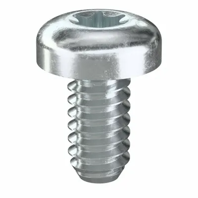 TAMPER PRUF SCREW Machine Screw: #10-24 Thread Size, 3/8 in Lg, Steel, Zinc-Plated, Pan, Torx/Star - Pan Head Machine Screws