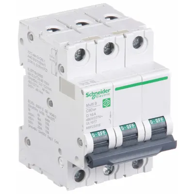 SCHNEIDER Supplementary Protector: 16 A Amps, 14kA at 240V AC, Screw Clamp - D-Curve, 3-Pole UL1077 DIN Rail-Mount Supplementary Protectors
