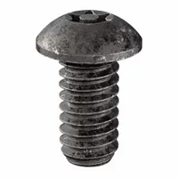 Tamper Resistant Screw: 1/4"-20 Thread Size, 1/2 in Lg, Steel, Black Oxide, Button, 25 PK (MPN 81240)