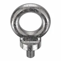 Machinery Eye Bolt: With Shoulder, 18-8, Stainless Steel, Plain, 3/8"-16 Thread Size (MPN K2023-SS)