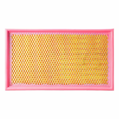 FLEETGUARD Automotive Air Filter Pack: Panel, Cabin Air Filter, Round, 12 29/32 in Overall Lg - Panel Cabin Air Filters