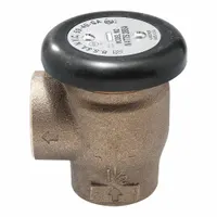 WATTS Vacuum Breaker: FNPT x FNPT, 2 in Pipe Size, For Water Media, Brass, 33°F – 180°F, Female, NPT (MPN 2 LF288AM2)