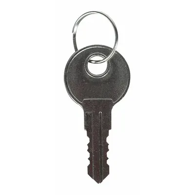 SAFETY TECHNOLOGY INTERNATIONAL Key: Nickel - Keys for Alarm & Wall Fixture Covers