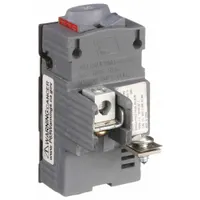 Miniature Circuit Breaker: 30 A Amps, 120V AC, 1.81 in Wd, 10kA at 120V AC, Pushmatic Load Centers (MPN UBIP130)