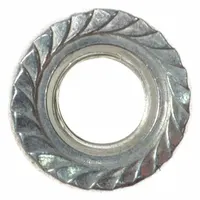 APPROVED VENDOR Serrated Flange Nut M10,PK2: For 6CGH6, 2 PK (MPN PPUP6030G)