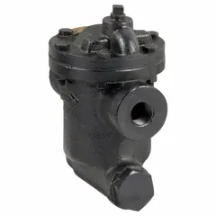 Standard inverted-bucket steam trap for automatic condensate drainage from steam lines while preventing steam loss. Cast iron construction with 1/2-inch FNPT connections, in-line configuration for horizontal installation. Rated for 690 lb/hr capacity at 20 psi maximum pressure, with built-in strainer.