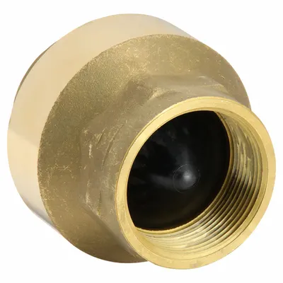 BONOMI Valve: Swing, Inline Valve Body, 2 1/2 in Pipe Size, FNPT x FNPT, Brass - Lead-Free Brass Inline Disc Check Valves