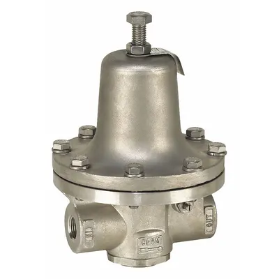 Watts Steam Pressure Regulator: Stainless Steel, FNPT x FNPT - Steam Pressure Regulators