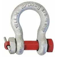 CROSBY Anchor Shackle: Anchor Shackle, 4,000 lb Working Load Limit, 21/32 in Wd Between Eyes, Silver (MPN 1021015)