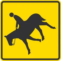 Aluminum sign, 0.080 in thick, 24 in x 24 in nominal size, with Engineer-grade retroreflective finish. Complies with W11-7 MUTCD standard. Used to alert drivers to areas where horses may cross the roadway