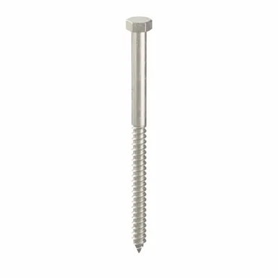 FOREVERBOLT Hex Head Lag Screw: 3/8 in Size, 6 in Lg, Stainless Steel, NL-19 - 18-8 Stainless Steel Hex Head Lag Screws