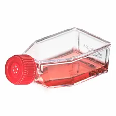 APPROVED VENDOR Plastic Cell Culture Flask, Polystyrene, 17.5 mL, Sterile, Graduated with Closure (TC-FLSK-25-V)