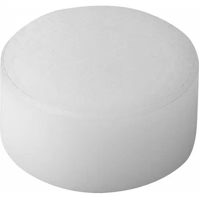 KIPP Rear-Mount Insert w/Flat Face: 10 mm Dia, M5, 10 mm Ht, Smooth - Rear-Mount Acetal Inserts with Flat Face