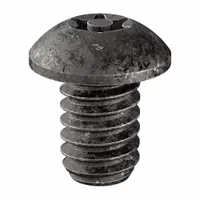 Tamper Resistant Screw: 1/4"-20 Thread Size, 3/8 in Lg, Steel, Black Oxide, Button, 25 PK (MPN 81230)