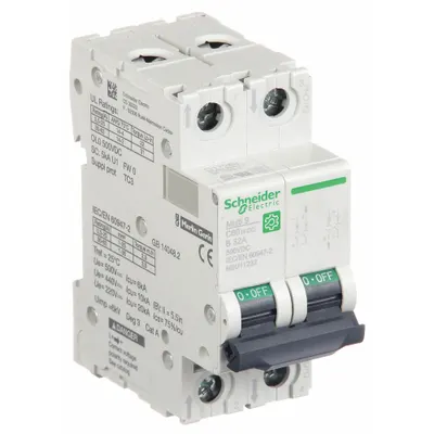 SCHNEIDER Supplementary Protector: 32 A Amps, 500V DC, 5kA at 250V DC, Screw Clamp - DC-Only Rated, 2-Pole UL1077 DIN Rail-Mount Supplementary Protectors