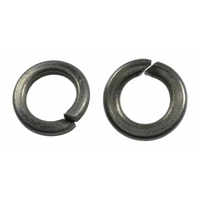 Dayton Lock Washer, Stainless Steel, 2 Pack, PP60257G - Fasteners for Dewatering & Wastewater Pumps