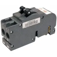 Two-pole miniature circuit breaker rated 100 A at 120/240V AC with an interrupting capacity of 11 kA. Measures 1.5 inches in width. Suitable for overcurrent protection in load centers and panelboards