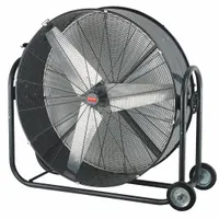 DAYTON Portable Fan: 42 in Blade Dia, 120V AC, Mobile, 1/2 hp, Direct Drive, Steel
