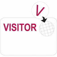 Clip On Badge: Visitor, Paper, White, 2 in Card Ht, 3 in Card Wd, 500 PK (MPN 95637)