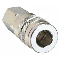 DIXON VALVE & COUPLING Quick Connect Hose Coupling: 3/8 in Body Size, 1/4 in Hose Fitting Size, FNPT (MPN 3FF2)