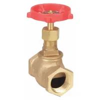 Bronze straight-body globe valve with rising stem and Z-body design. Features 1/2-inch female connections. Suitable for general-service applications requiring flow regulation and shut-off