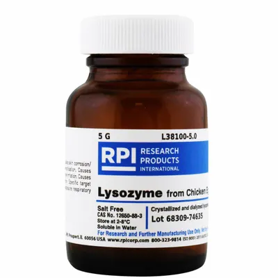 RPI Lysozyme from Chicken Egg White, 5 g, Powder, Glass - Protease Inhibitors