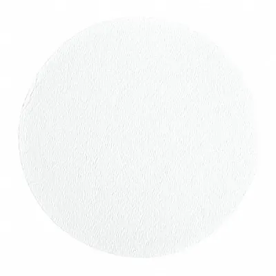 CYTIVA WHATMAN Glass Microfiber Filter: B, 4.7 cm Dia, 0.68 mm Thick - B Grade Glass Fiber Filters