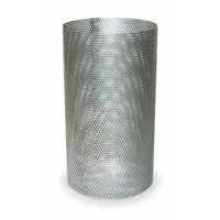 MUELLER STEAM SPECIALTY Strainer Screen: Perforated, 0.045 in Screen Size, Compressed Non-Asbestos (MPN 3 781 cs replacement screen)