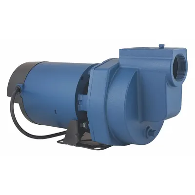 FLINT & WALLING 1 hp Self-Priming Sprinkler Pump - 1/2 to 1 HP Self-Priming Sprinkler Pumps