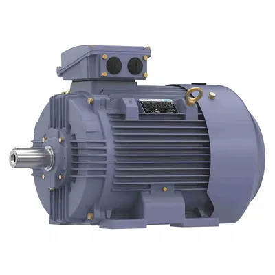 MARATHON MOTORS Rigid Base 3-Phase IEC Metric General Purpose AC Motor - Rigid Base 3-Phase IEC Metric General Purpose AC Motors